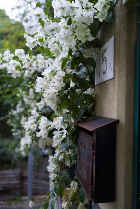 Genova Garden, Vicino Al Gaslini E Boccadasse Daire Dış mekan fotoğraf